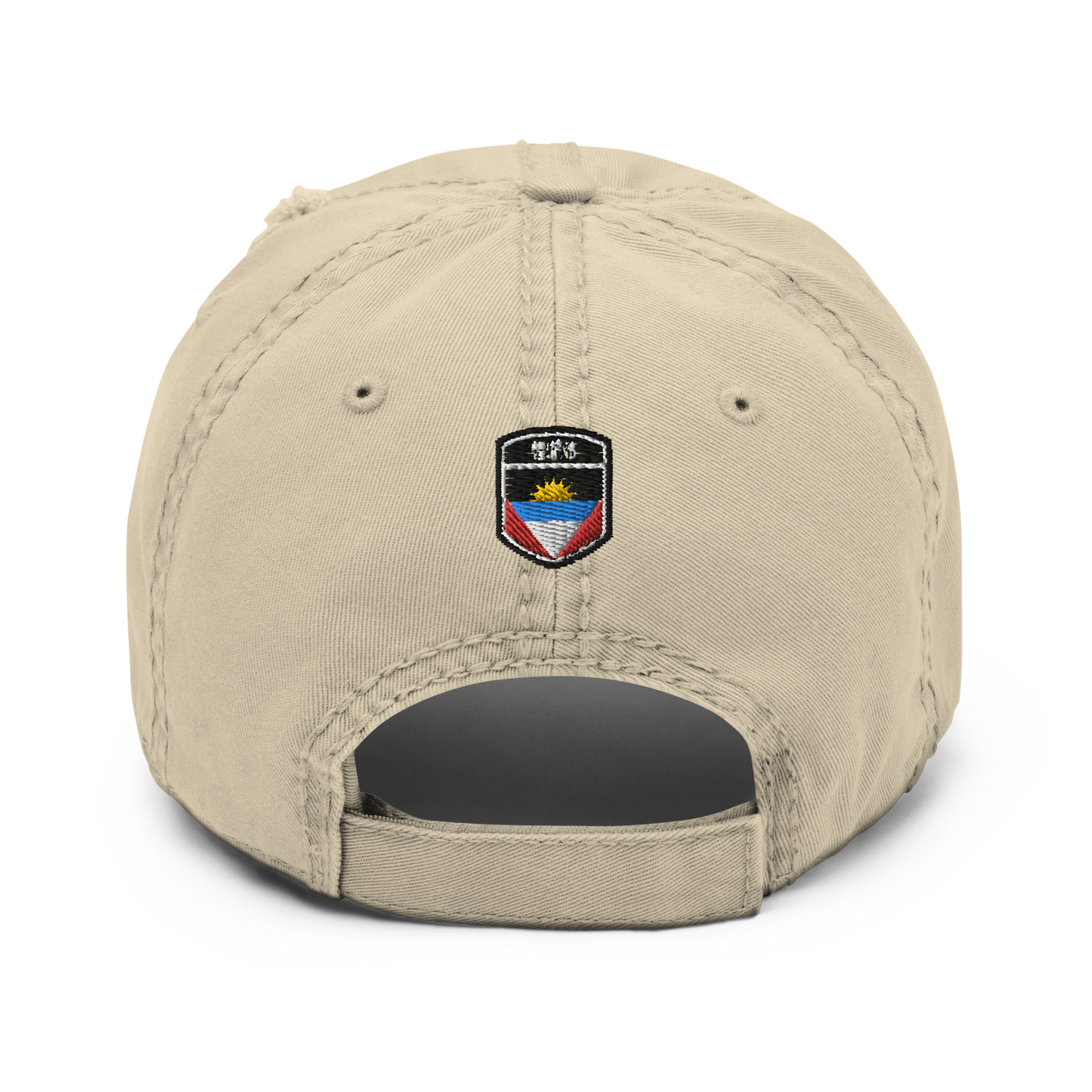 AWDJYT Distressed Dad Hat