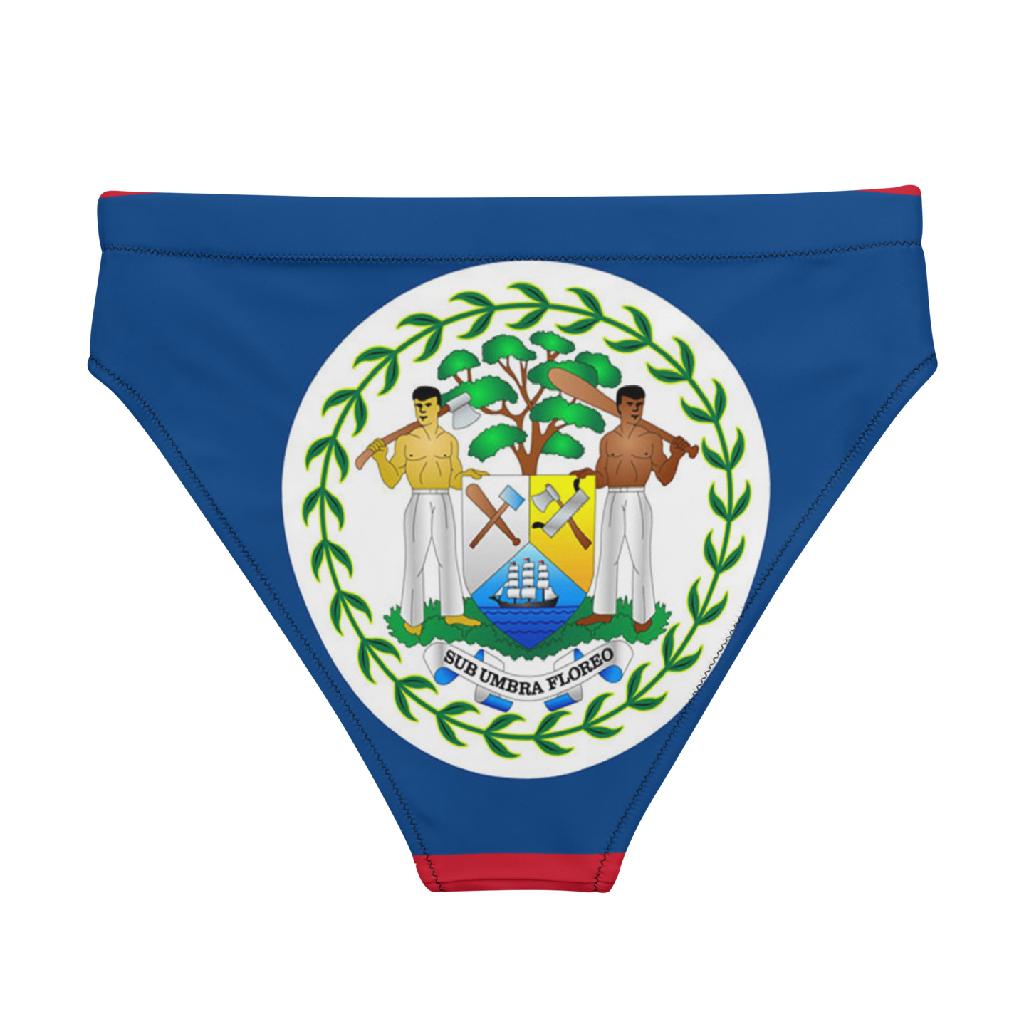 Belize high-waisted bikini bottom