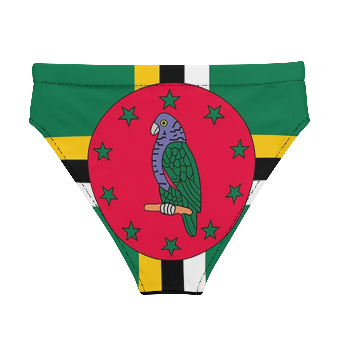 Dominica high-waisted bikini bottom