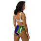 BVI Recycled high-waisted bikini