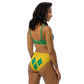I Am Rooting: St. Vincent Recycled high-waisted bikini